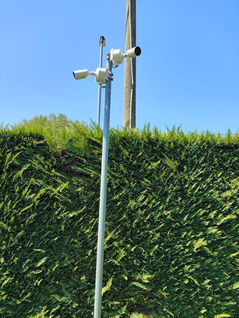 Telecamera Ajax su palo con vista su giardino e abitazione — Villa Teolo (PD)
